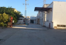 A VENDRE FROMAGERIE 5000 M2 TUNIS NORD